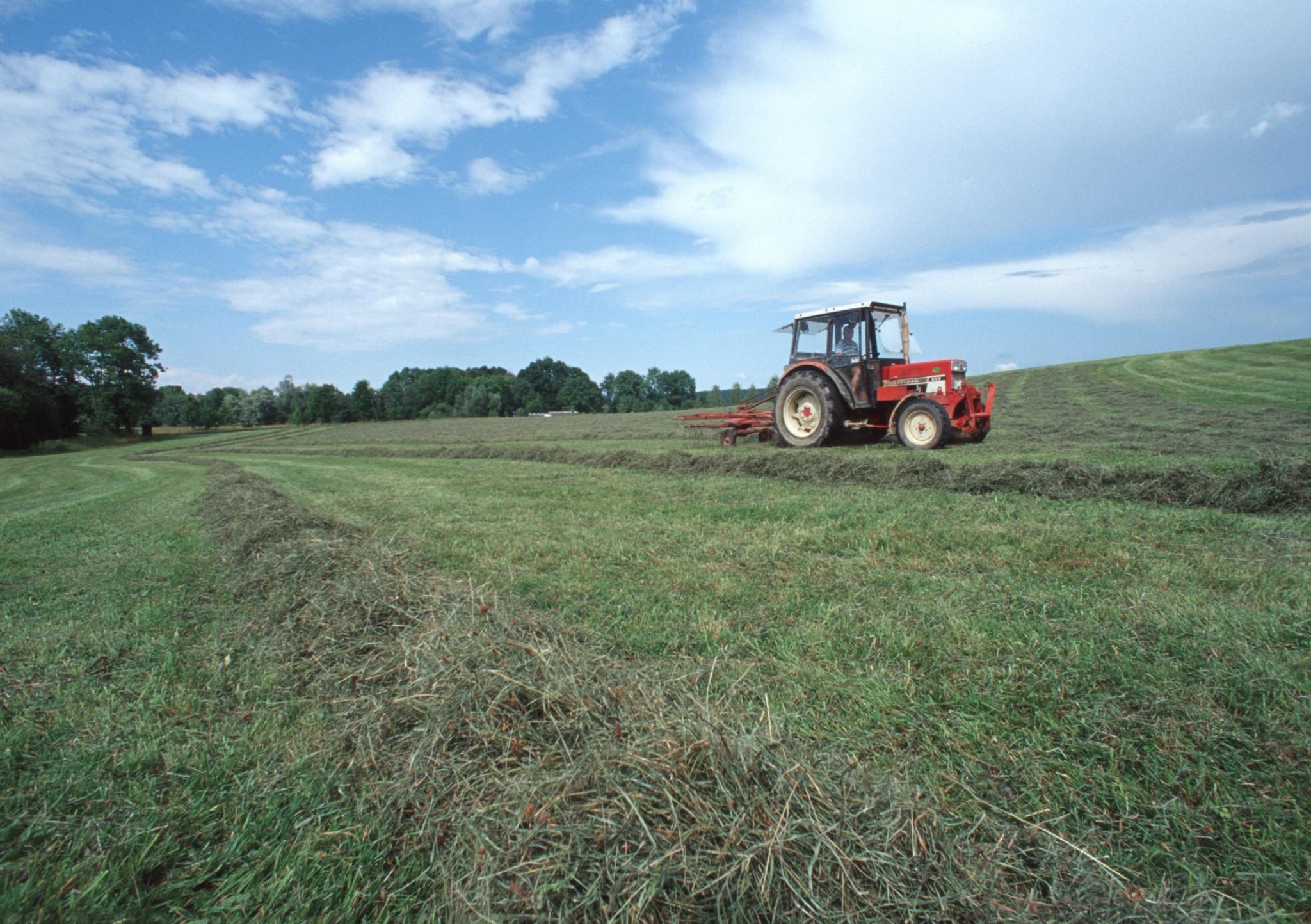 common agricultural policy cap